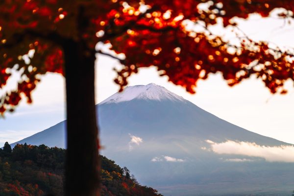 Autumn leaves frame the iconic Mount Fuji under a clear sky. Anime 4K