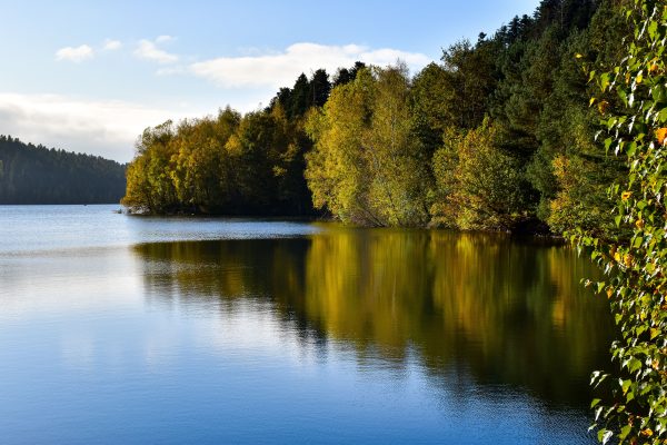 Beautiful autumn scenery with vibrant reflections at Pierre-Percée Lake, France. Nature 4K