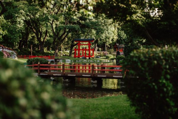 Beautiful Japanese-style garden in Buenos Aires featuring a red torii gate over a pond. Anime 4K