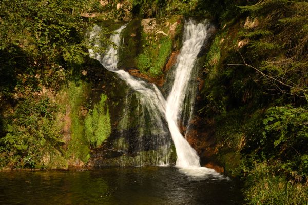 Beautiful landscape of the All Saints Waterfalls in Oppenau, Germany, surrounded by lush greenery. Nature 4K
