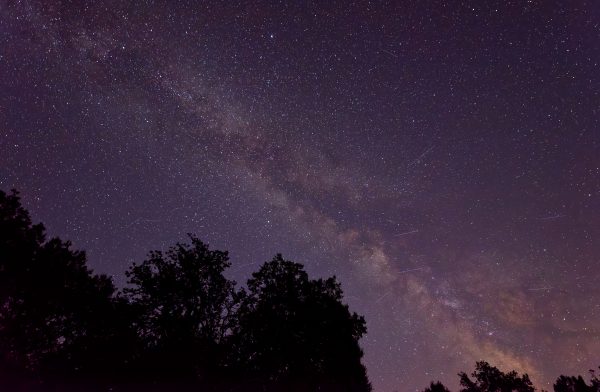 Beautiful night sky featuring the Milky Way galaxy with a clear view of countless stars and silhouettes of trees. Espace 4K