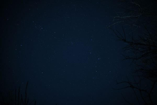 Beautiful starry night sky captured with silhouetted trees, offering a serene astronomical view. Espace 4K