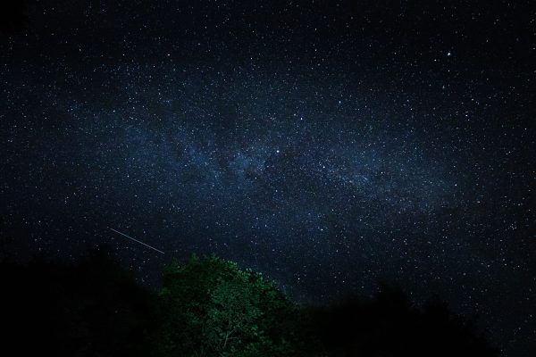 Beautiful starry night sky with meteor streaking over lush green trees in Poland. Espace 4K