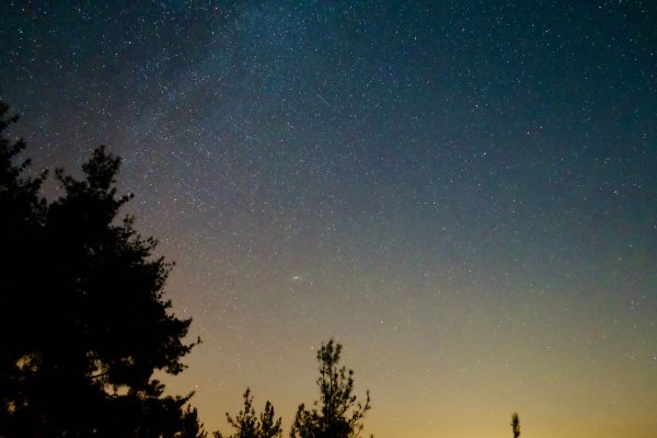 Beautiful starry night sky with silhouetted trees on the horizon. Espace 4K