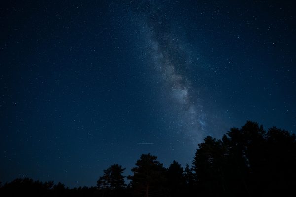 Beautiful starry sky with Milky Way over a silhouetted forest at night. Espace 4K