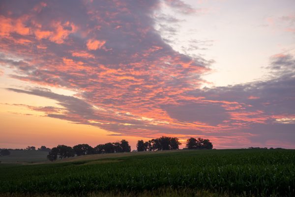 Beautiful summer sunrise over fields in Plainview, MN with vibrant skies and lush greenery. Nature 4K