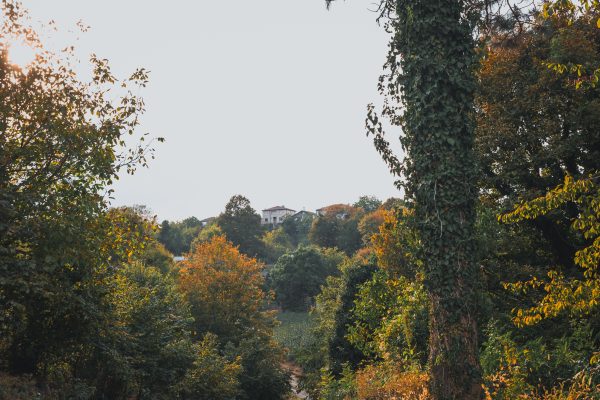 Beautiful view of a forested countryside in fall with vibrant leaves and distant house. Nature 4K