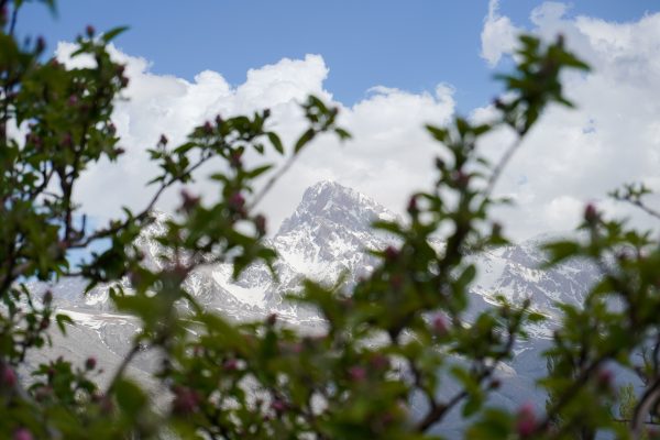 Beautiful view of Aladağlar Mountain framed by flowering branches under a clear blue sky in Niğde, Türkiye. Nature 4K