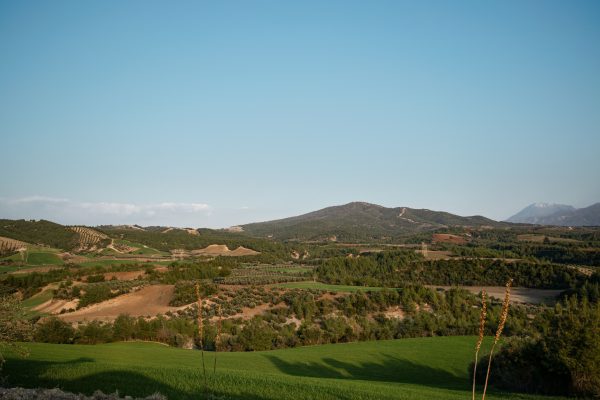 Beautiful view of the rolling hills and valleys in Düziçi, Osmaniye, Türkiye. Nature 4K