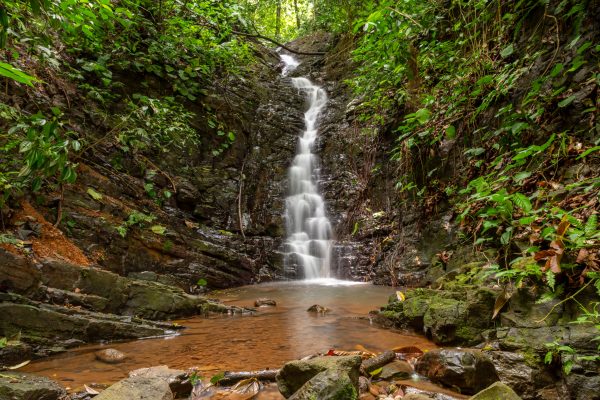 Beautiful waterfall in a verdant Costa Rican forest, surrounded by rocks and greenery. Nature 4K