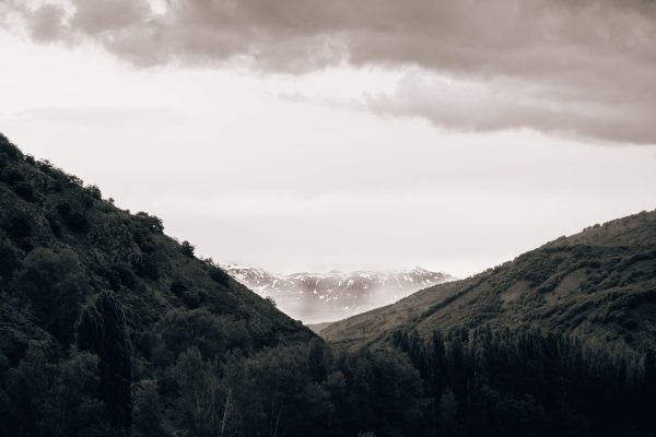 Black and white landscape with snowcapped mountains and forested valley under dramatic clouds. Nature 4K