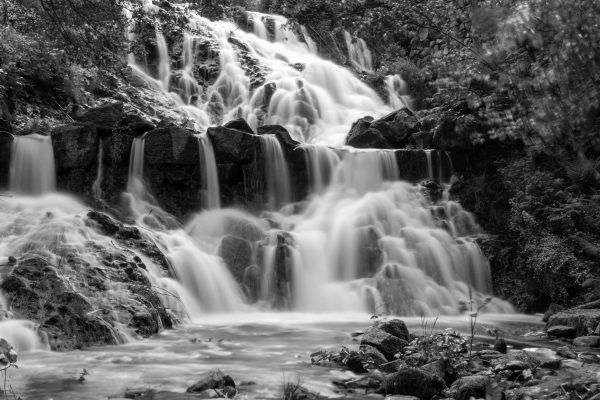 Black and white photo of a serene waterfall in Sweden's lush landscape. Nature 4K
