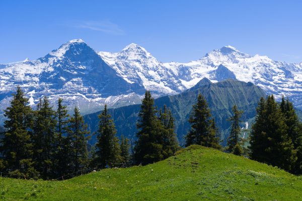 Breathtaking landscape of the Jungfrau region in the Swiss Alps with lush greenery and snowy peaks. Nature 4K