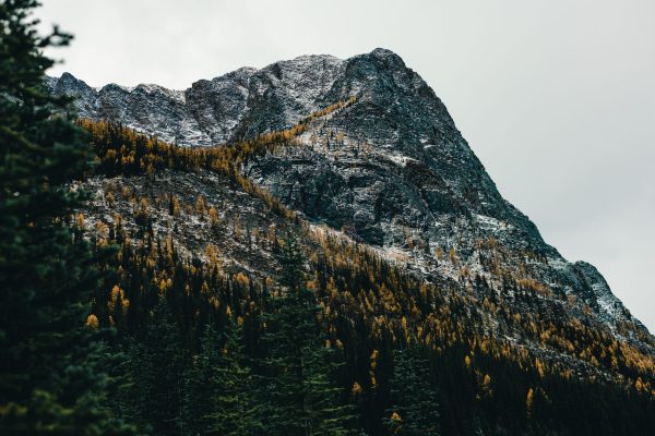 Breathtaking view of a snow-dusted mountain peak surrounded by autumn foliage in a Canadian forest. Nature 4K