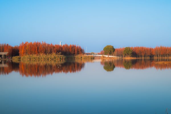 Calm lake with vibrant autumn trees reflecting on the water under a clear blue sky. Abstrait 4K