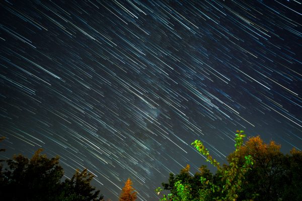 Captivating long exposure of star trails in the night sky above a forest landscape. Espace 4K