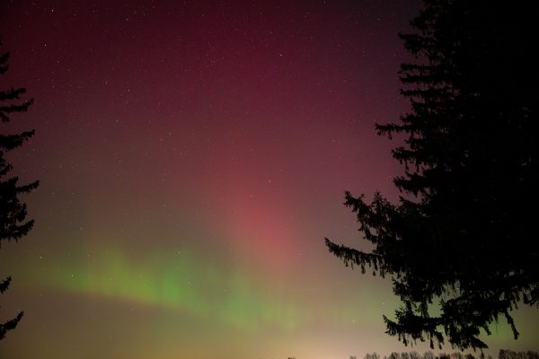 Captivating night sky featuring vibrant northern lights and silhouette of trees. Espace 4K