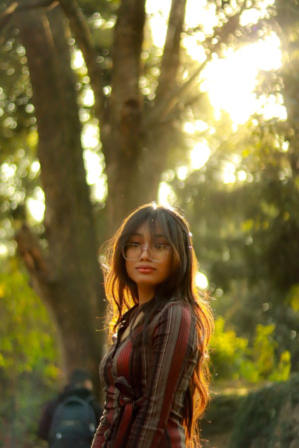 Captivating portrait of a young woman in a sunlit forest, evoking a serene and warm atmosphere. Mobile 4K