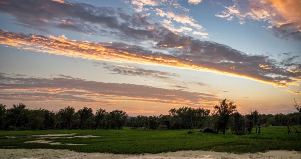 Captivating summer sunset over lush greenery in Wabasha, MN, with vibrant skies and serene atmosphere. Nature 4K