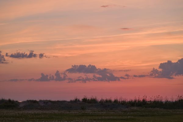 Captivating sunset with a warm glow casting over a peaceful countryside view, perfect for nature enthusiasts. Nature 4K
