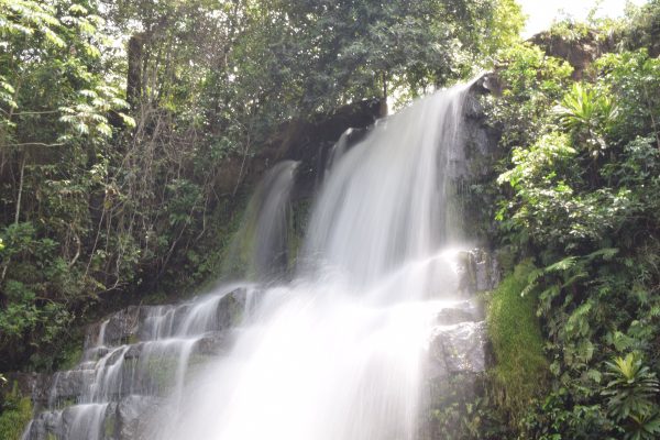 Captivating view of a cascading waterfall in a vibrant tropical rainforest with lush greenery. Nature 4K