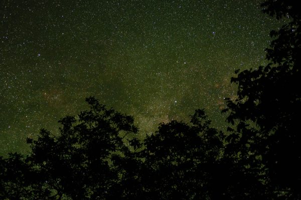 Captivating view of a star-filled night sky with trees silhouetted in the foreground. Espace 4K