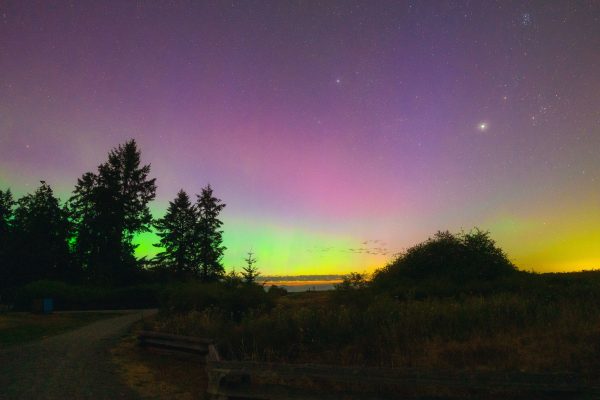 Captivating view of aurora borealis illuminating the night sky over a serene rural landscape. Espace 4K
