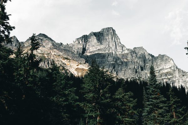 Captivating view of Rocky Mountains with dense forest in Canada. Nature 4K