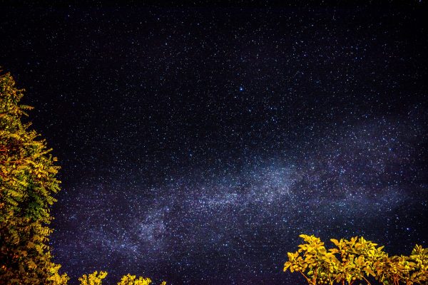 Capture of the Milky Way galaxy visible under a clear, starry sky, framed by silhouetted foliage. Espace 4K
