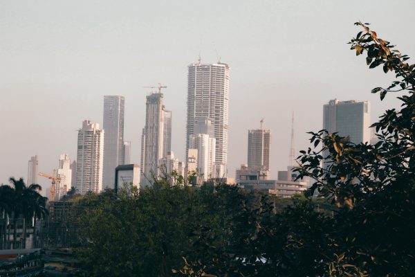 City skyline with skyscrapers and trees during the day, showcasing urban architecture. Architecture 4K