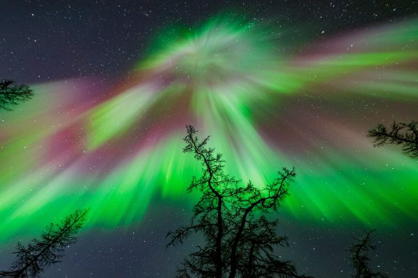 Colorful aurora borealis dances over starry night in Naryan-Mar, Russia. Espace 4K