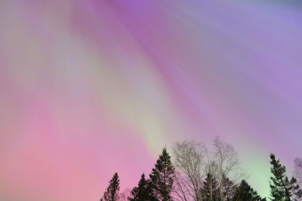 Colorful aurora borealis paints the night sky over a tranquil forest. Espace 4K
