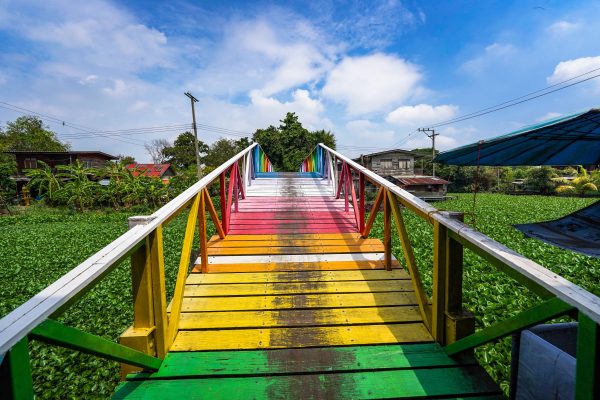 Colorful footbridge spans over lush water hyacinths, creating a vivid contrast against a blue sky. Abstrait 4K