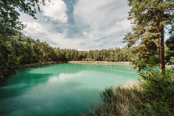 Discover the tranquility of a turquoise lake in Weißwasser's lush forest, ideal for nature lovers. Nature 4K