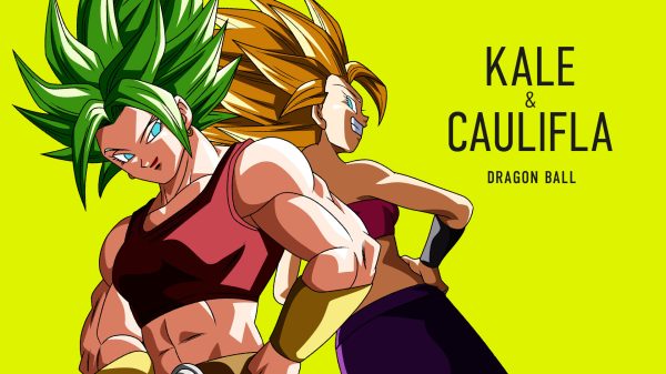 Dragon Ball, Dragon Ball Super, Kale (Dragon Ball) Manga 4K
