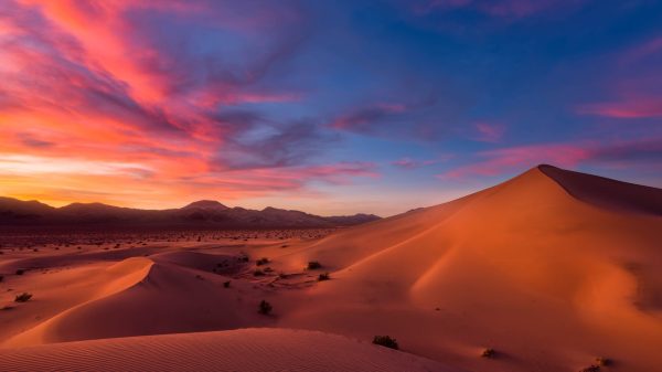 Desert, landscape, sunrise Geek 4K