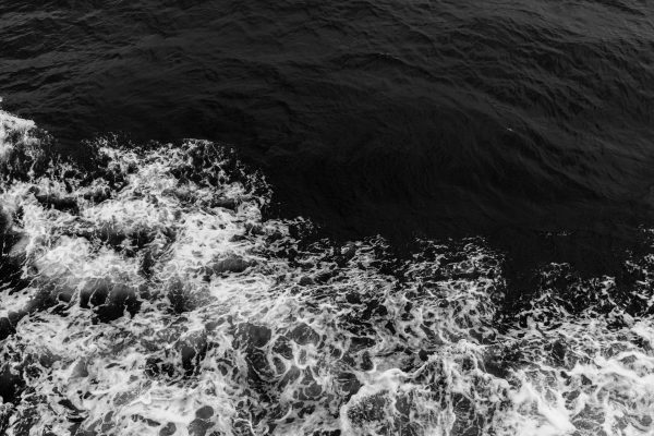 Dynamic black and white image of ocean waves with frothy textures. Nature 4K