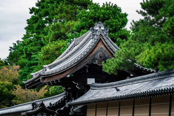 Elegant traditional Japanese temple roof surrounded by lush green trees, showcasing cultural architecture. Anime 4K