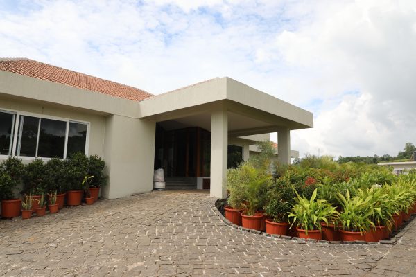 Entrance of a modern home with potted plants and paved walkway under cloudy sky. Nature 4K