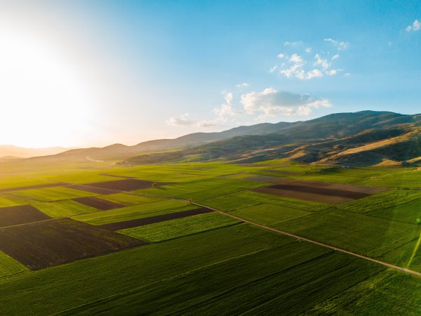 Expansive green fields under a vibrant sunset sky, showcasing rural beauty and tranquility. Nature 4K