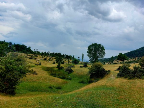 Expansive green valley landscape with trees under a cloudy sky, perfect for nature enthusiasts. Nature 4K