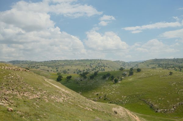 Expansive landscape of rolling green hills beneath a bright blue sky with fluffy clouds. Nature 4K