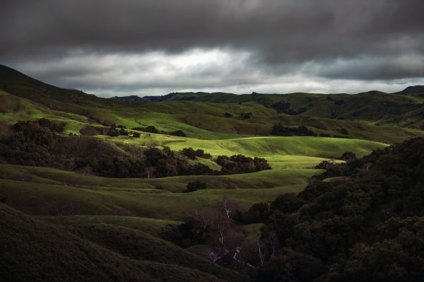 Explore lush green hills with dramatic overcast skies in Cambria, California. Perfect for nature lovers. Nature 4K