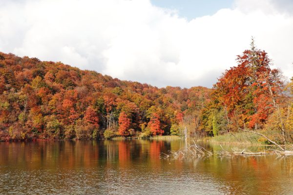Explore the breathtaking autumn colors of Plitvice Lakes National Park, Croatia. Nature 4K