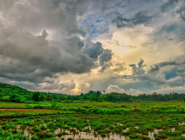 Explore the lush paddy fields beneath a dramatic clouded sky in Rumpin, West Java, Indonesia. Nature 4K