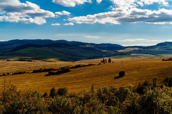 Explore the rolling hills and vibrant colors of the countryside near Lipany, Slovakia. Nature 4K