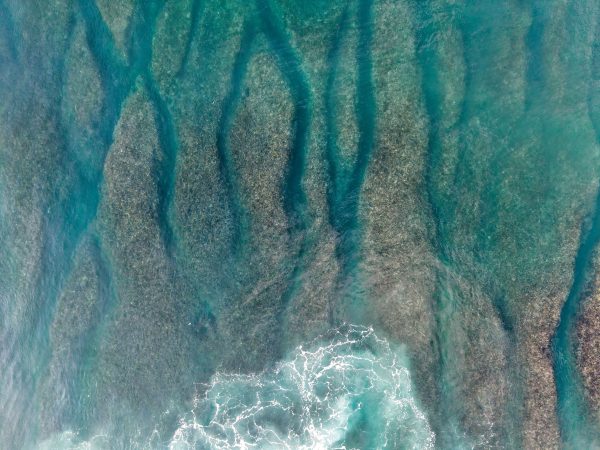 Explore the striking beauty of Bali's coral reefs and turquoise ocean waves from an aerial perspective. Nature 4K