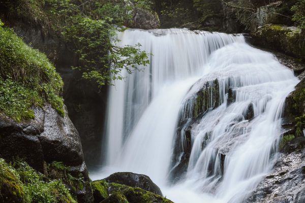 Fast powerful waterfall among heavy stones in forest with green trees in daytime in summer Nature 4K