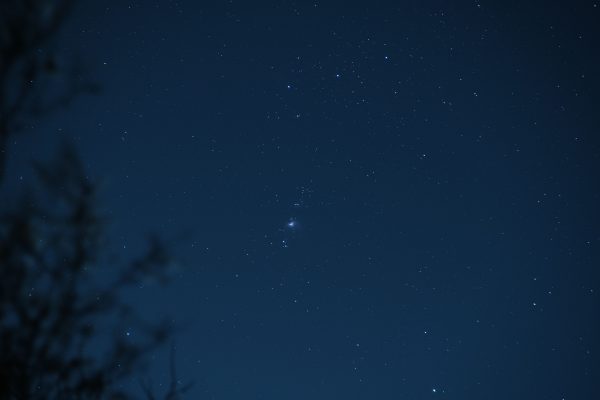 Glistening stars in a dark night sky with silhouetted tree branches creating a serene nature scene. Espace 4K
