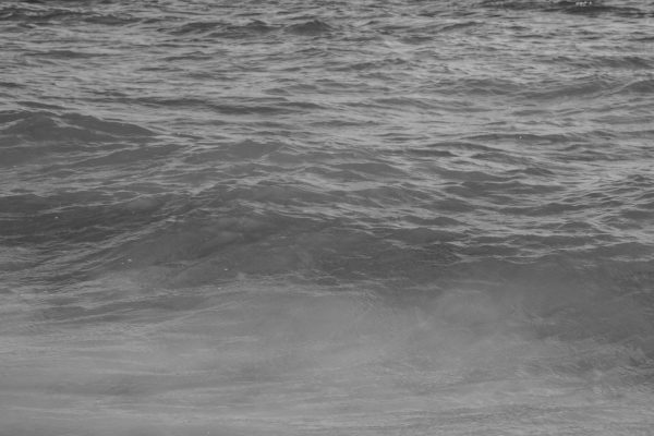 Grayscale image capturing the textured patterns of ocean waves. Nature 4K